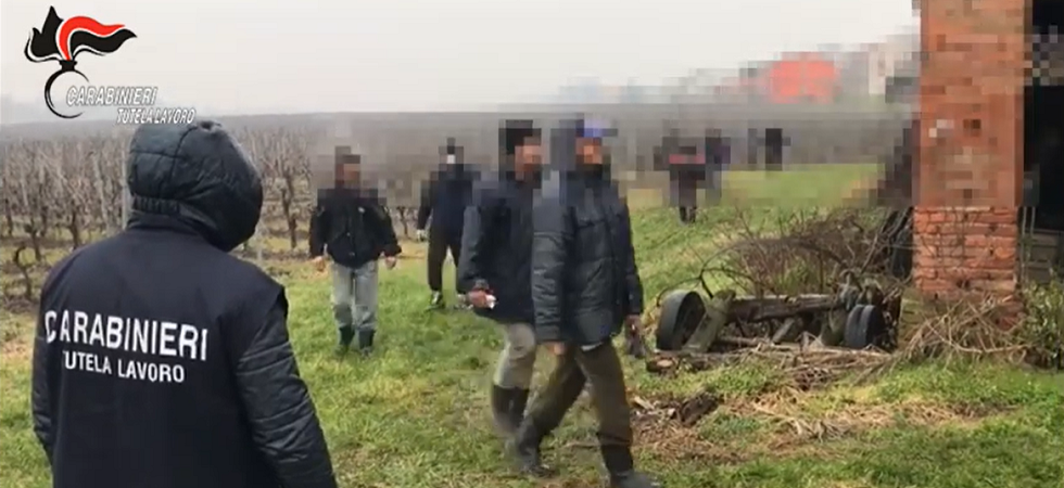 Dietro la cooperativa sfruttamento e caporalato: i braccianti costretti a vivere in alloggi di fortuna senza luce né